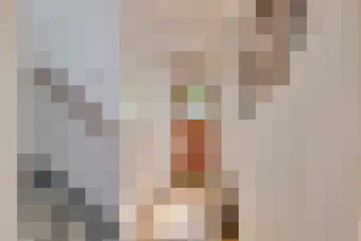 Indigolaan 7 Tilburg thumbnail 17