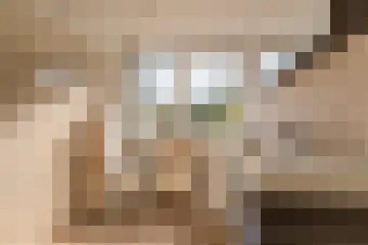 Indigolaan 7 Tilburg thumbnail 19