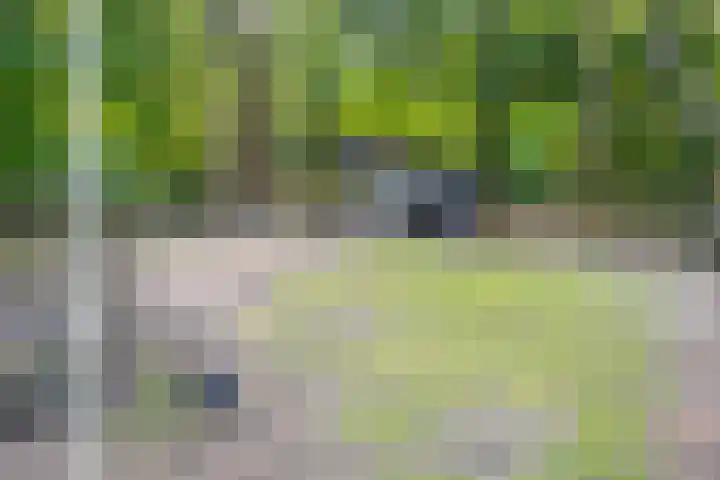 Indigolaan 7 Tilburg thumbnail 38