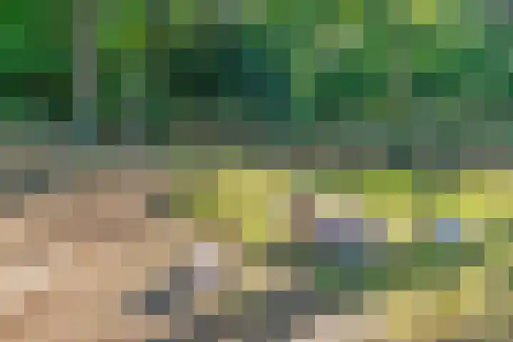 Indigolaan 7 Tilburg thumbnail 43