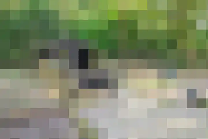 Indigolaan 7 Tilburg thumbnail 44