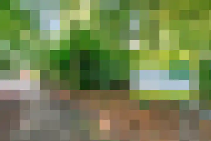 Indigolaan 7 Tilburg thumbnail 5