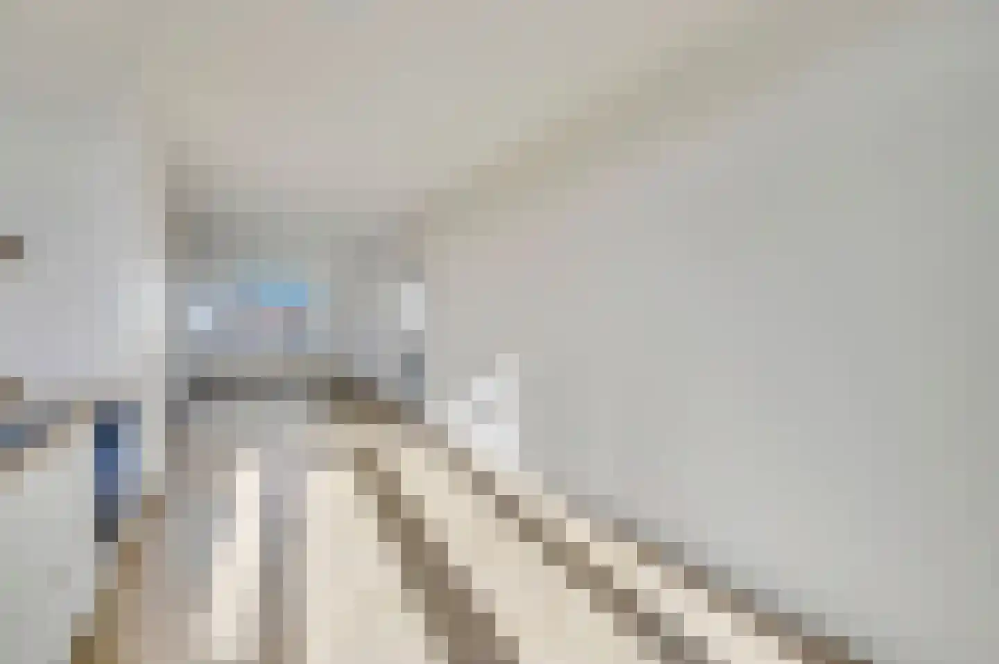 Indigostraat 100 Den Haag thumbnail 12