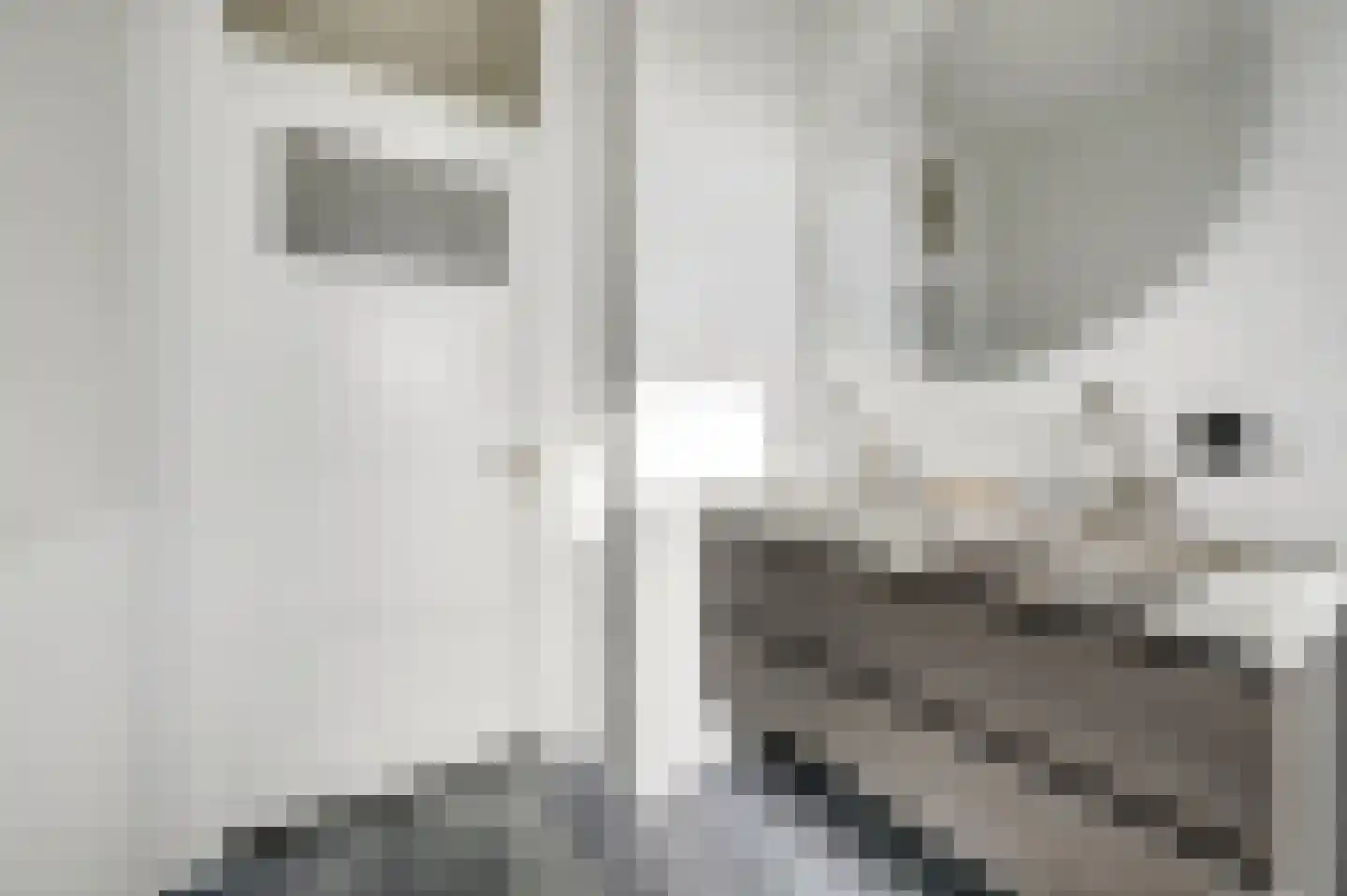 Indigostraat 100 Den Haag thumbnail 22