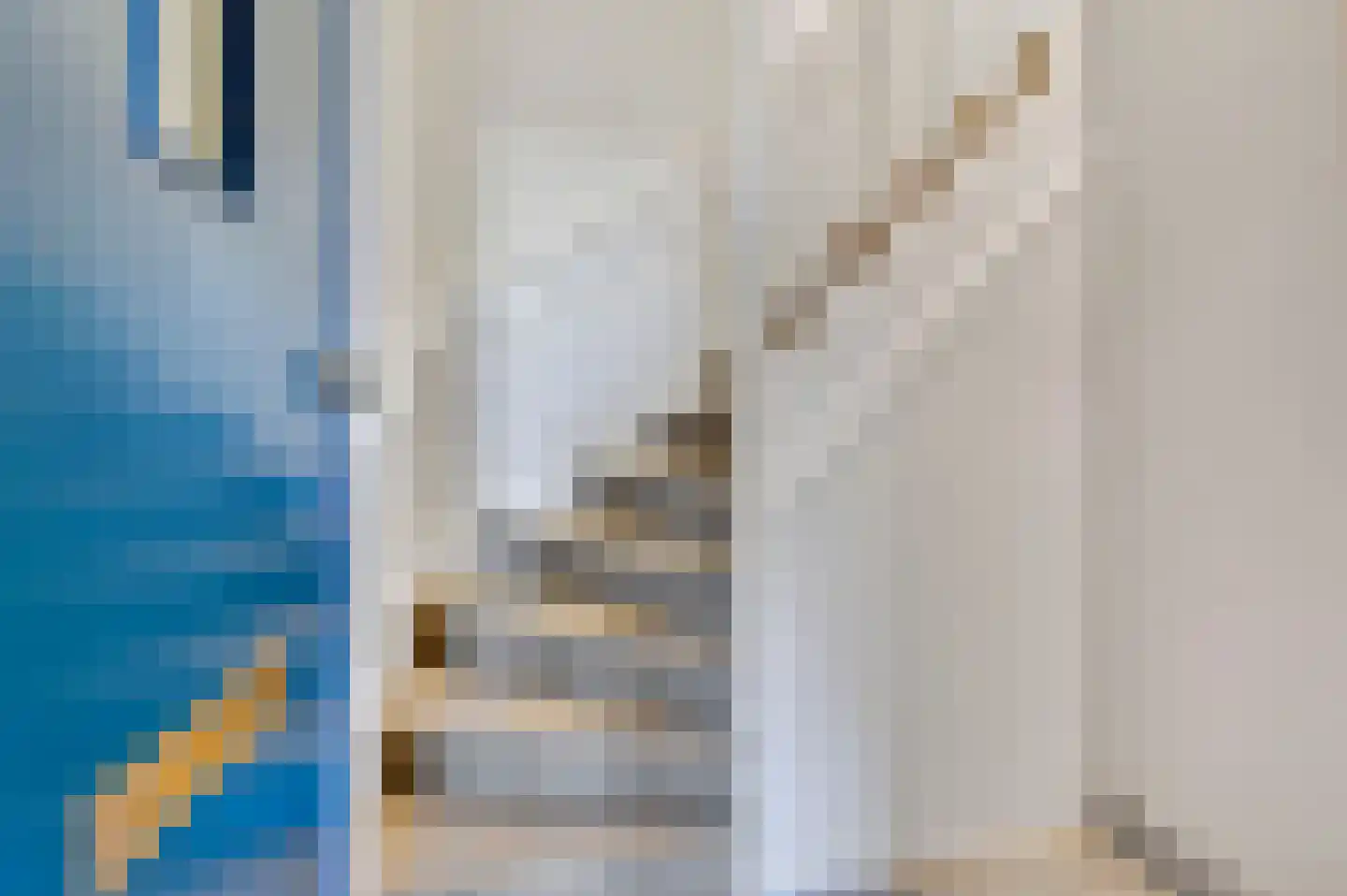 Indigostraat 100 Den Haag thumbnail 4
