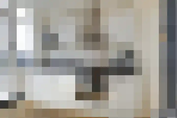 Indigostraat 22 Den Haag thumbnail 15