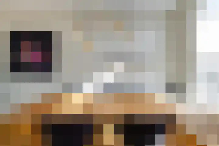 Indigostraat 22 Den Haag thumbnail 16