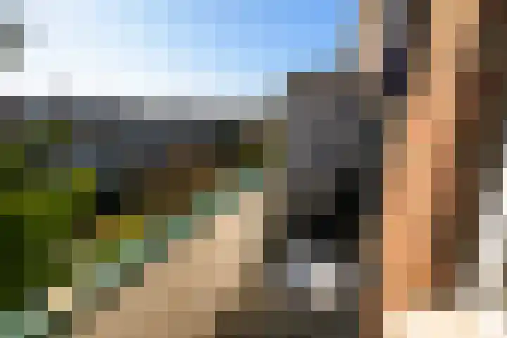 Indigostraat 22 Den Haag thumbnail 19