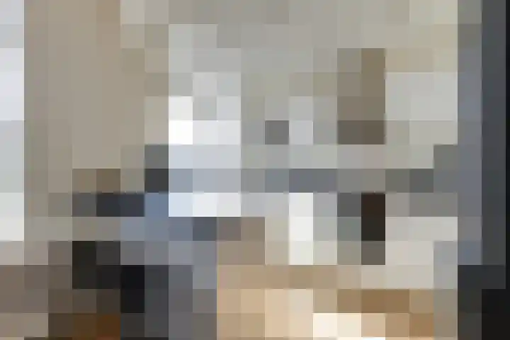 Indigostraat 22 Den Haag foto 2