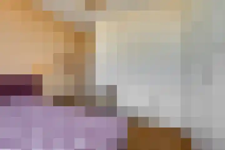 Indigostraat 22 Den Haag thumbnail 23