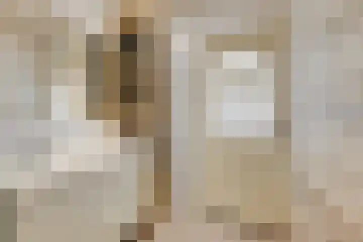 Indigostraat 22 Den Haag thumbnail 25