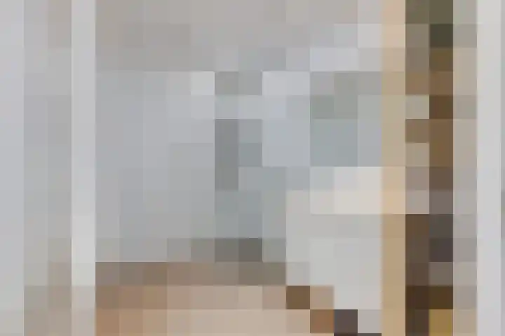 Indigostraat 22 Den Haag foto 3