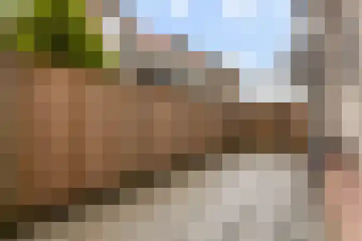 Indigostraat 22 Den Haag thumbnail 4
