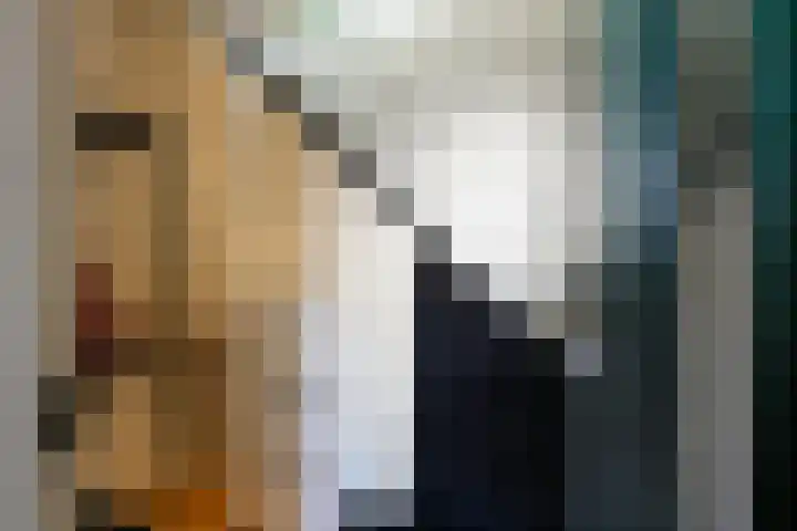 Indigostraat 22 Den Haag thumbnail 5