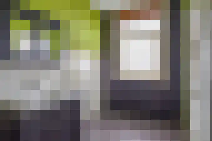 Indigostraat 27 Den Haag thumbnail 19