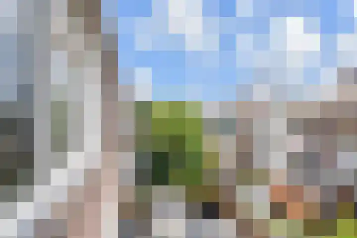 Indigostraat 27 Den Haag thumbnail 25