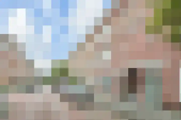 Indigostraat 27 Den Haag thumbnail 31