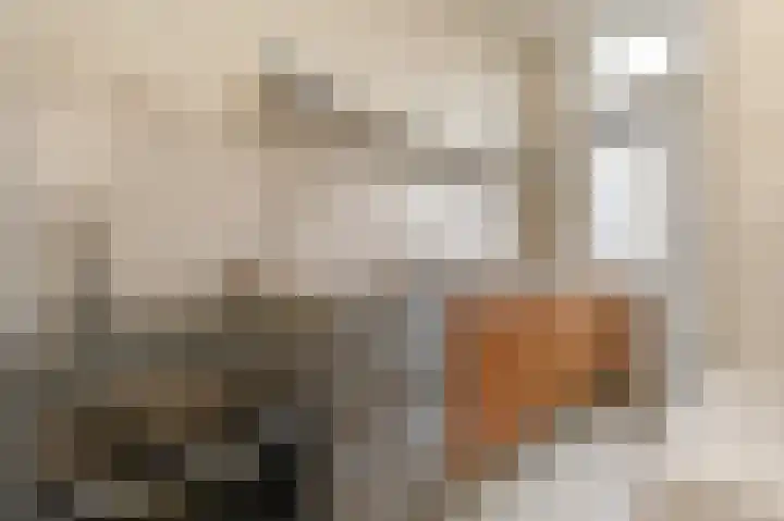 Indigostraat 33 Den Haag thumbnail 4
