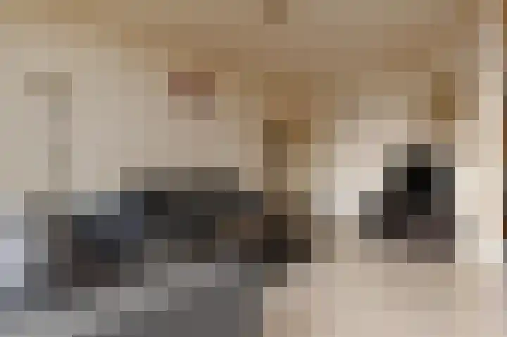 Indigostraat 33 Den Haag thumbnail 6