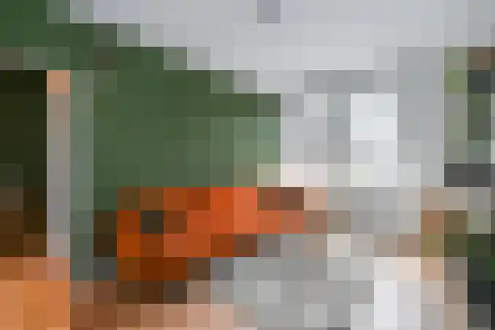 Indigostraat 35 in Den Haag