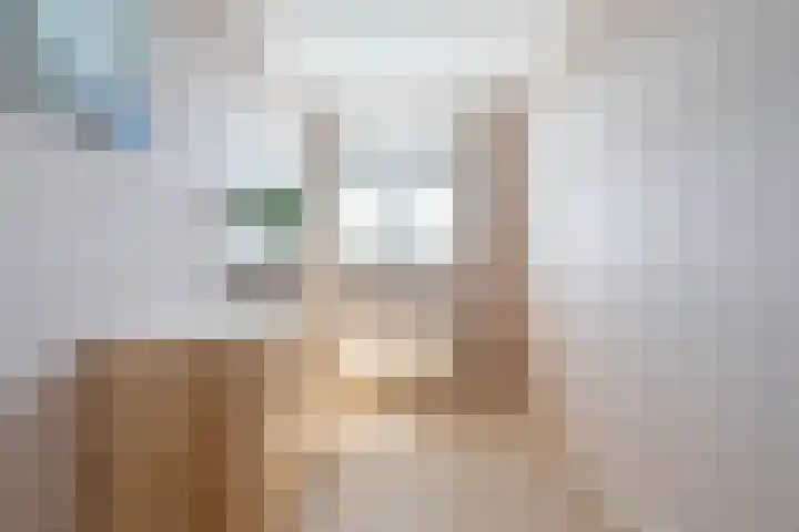 Indigostraat 58 Den Haag thumbnail 26