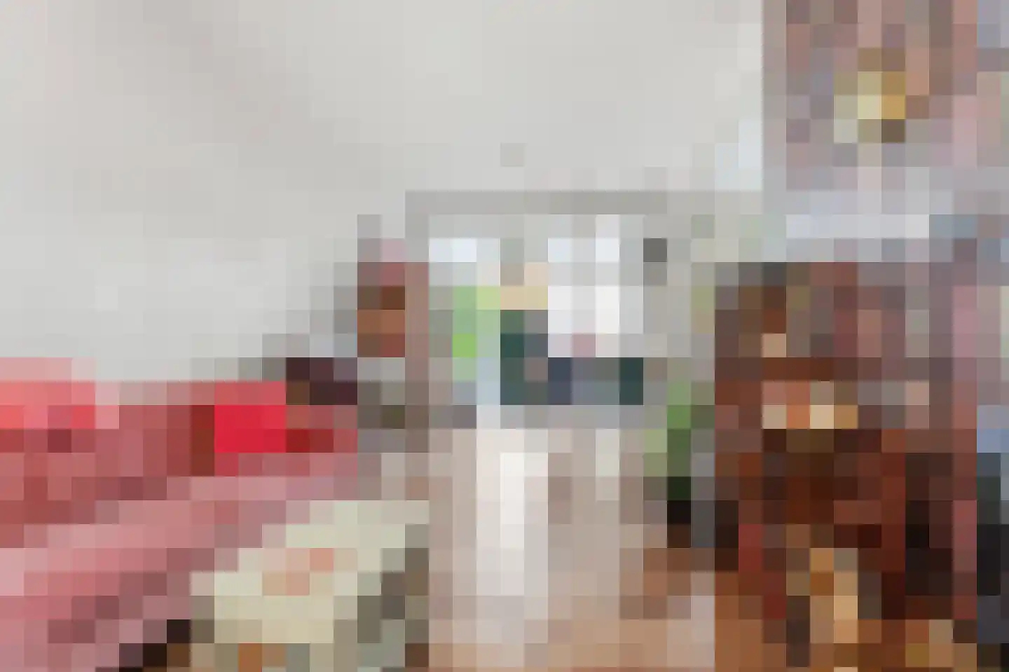 Indigostraat 65 Den Haag thumbnail 15