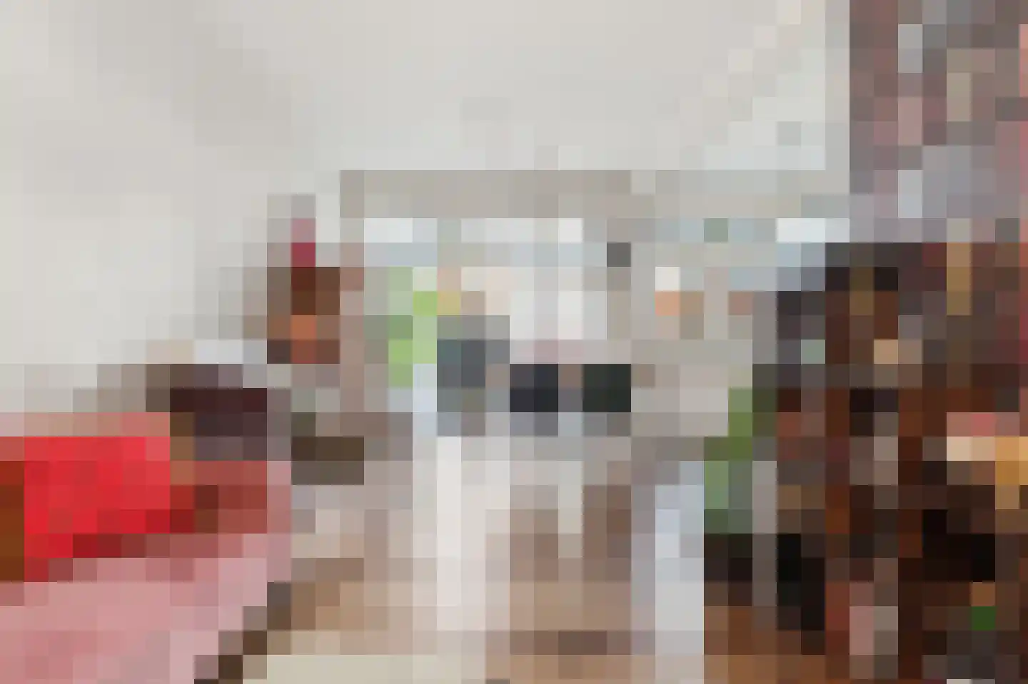 Indigostraat 65 Den Haag thumbnail 17