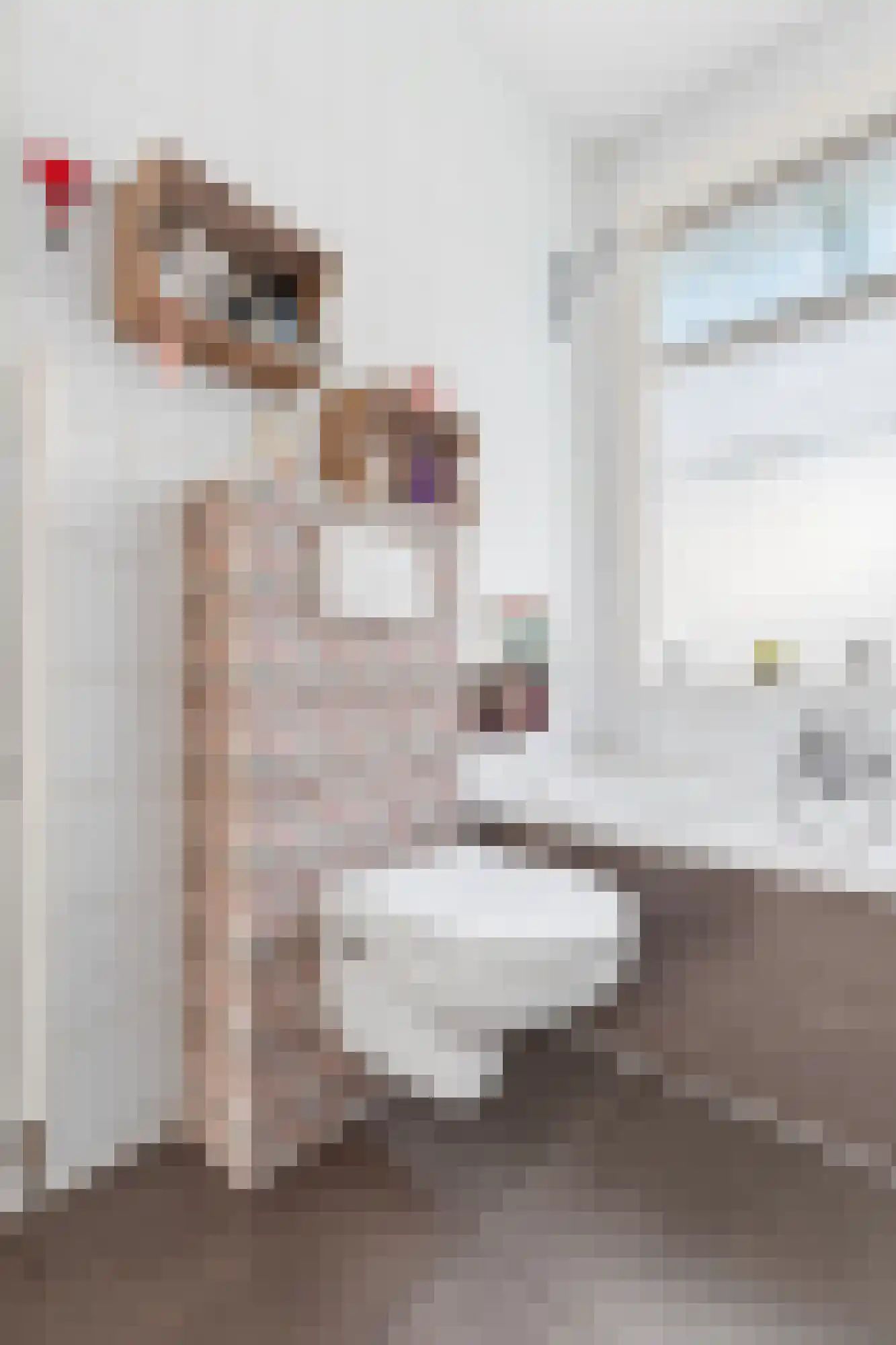 Indigostraat 65 Den Haag thumbnail 35