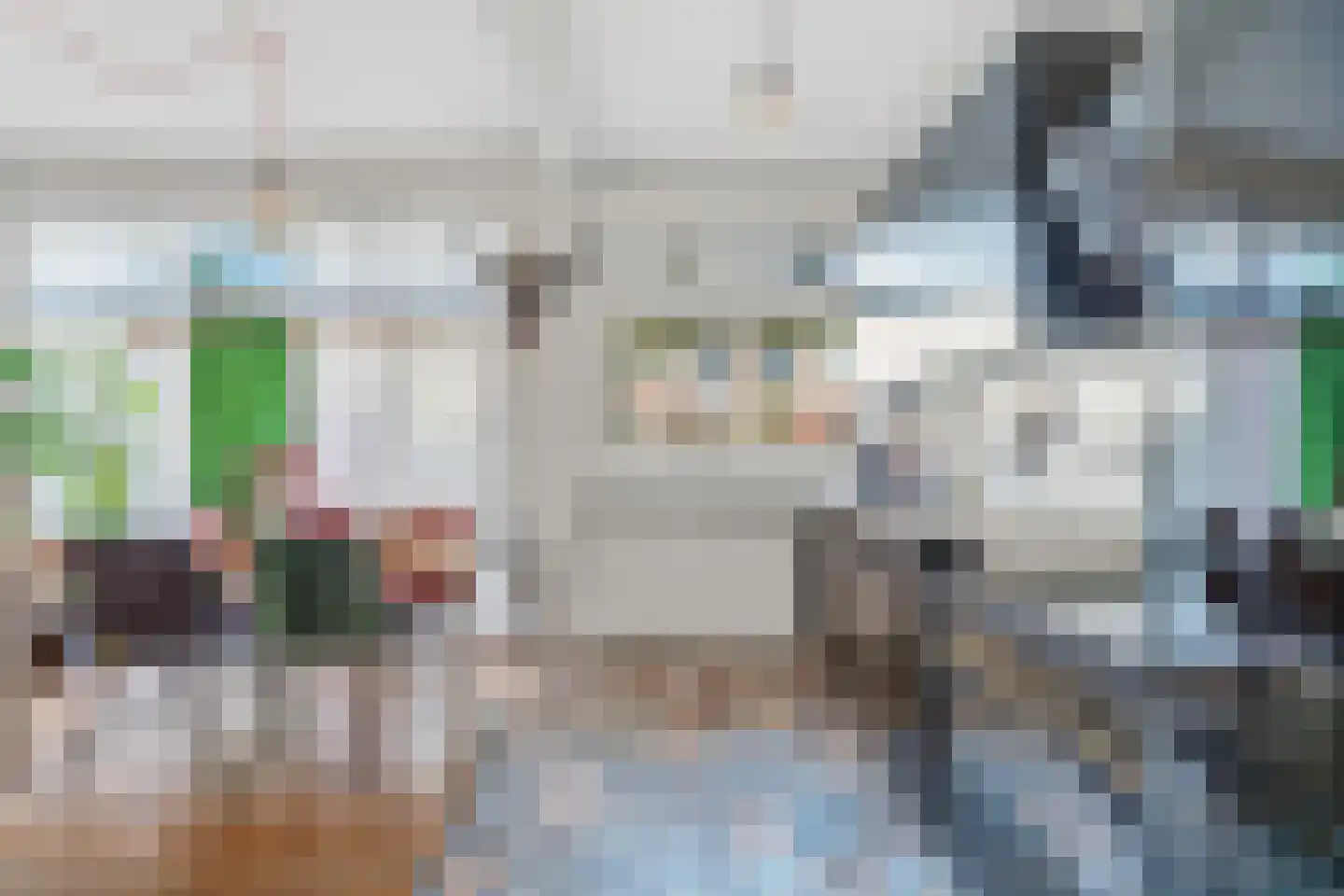 Indigostraat 65 Den Haag thumbnail 7