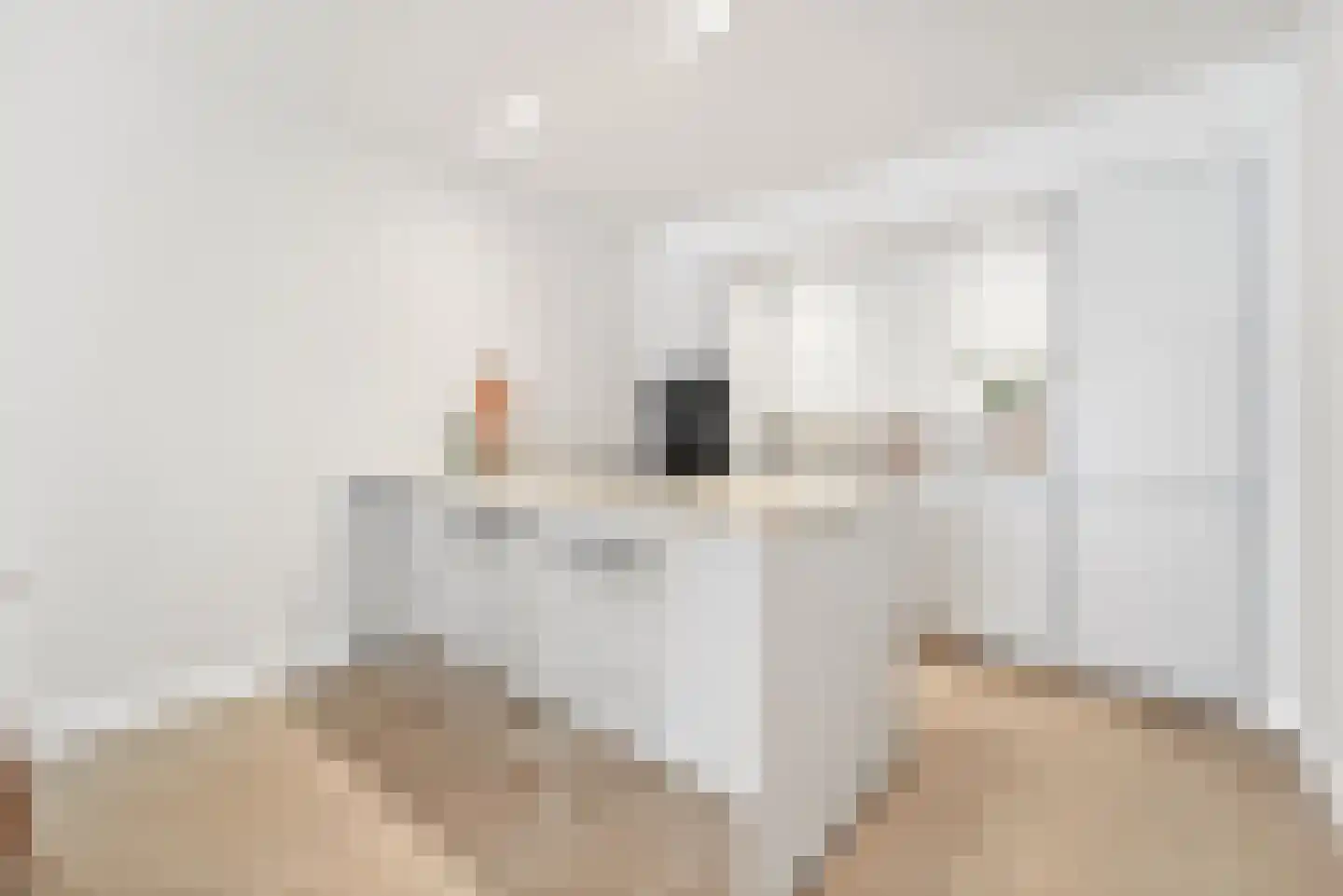 Indigostraat 77 Den Haag thumbnail 13