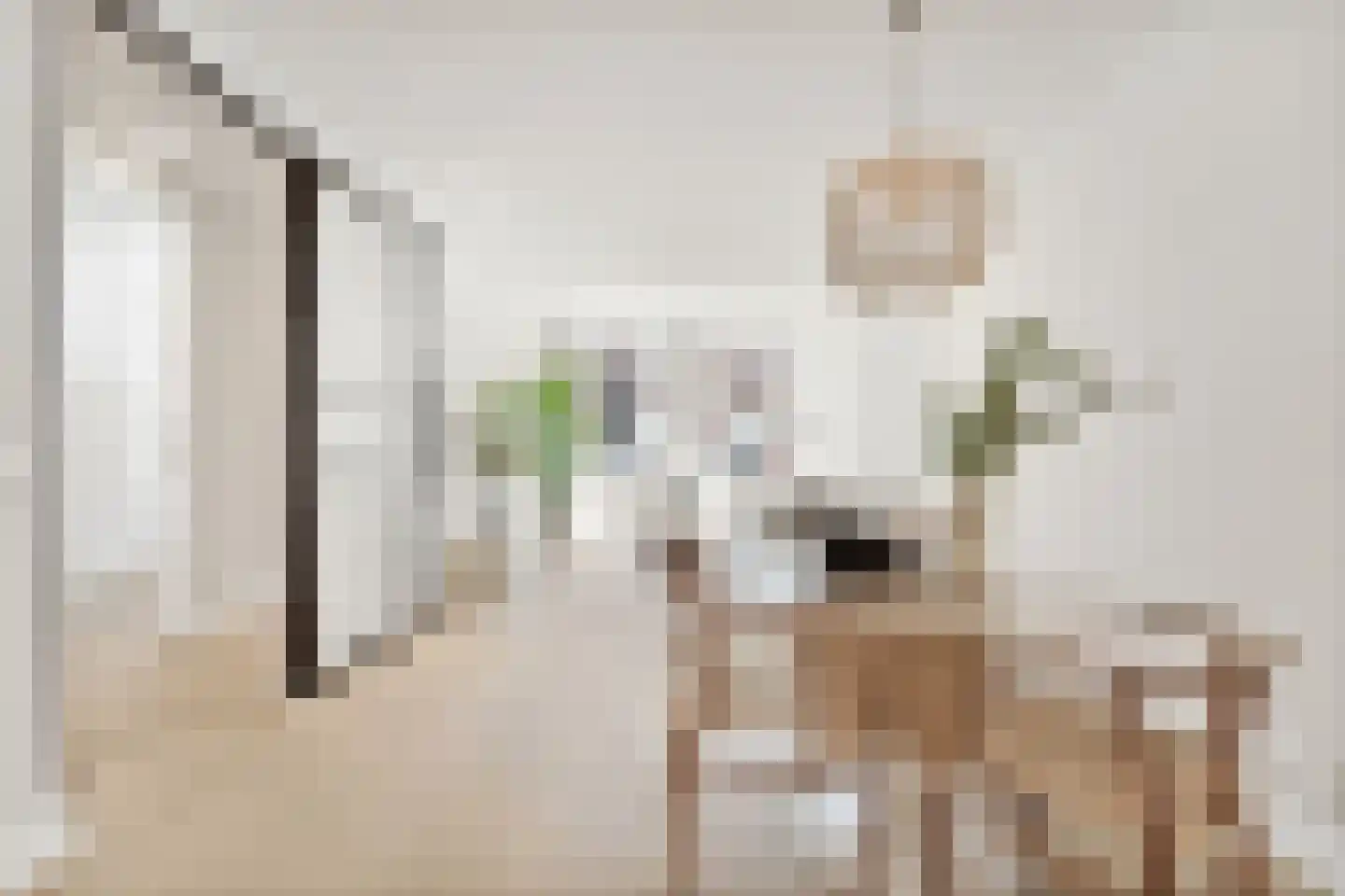 Indigostraat 77 Den Haag thumbnail 14
