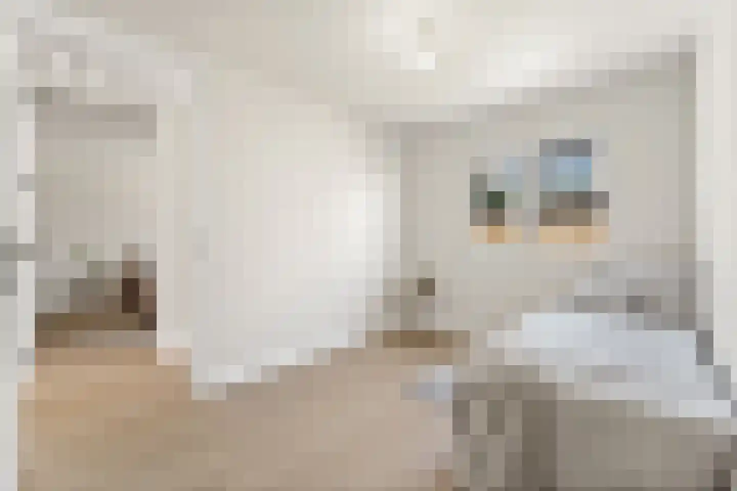 Indigostraat 77 Den Haag thumbnail 22
