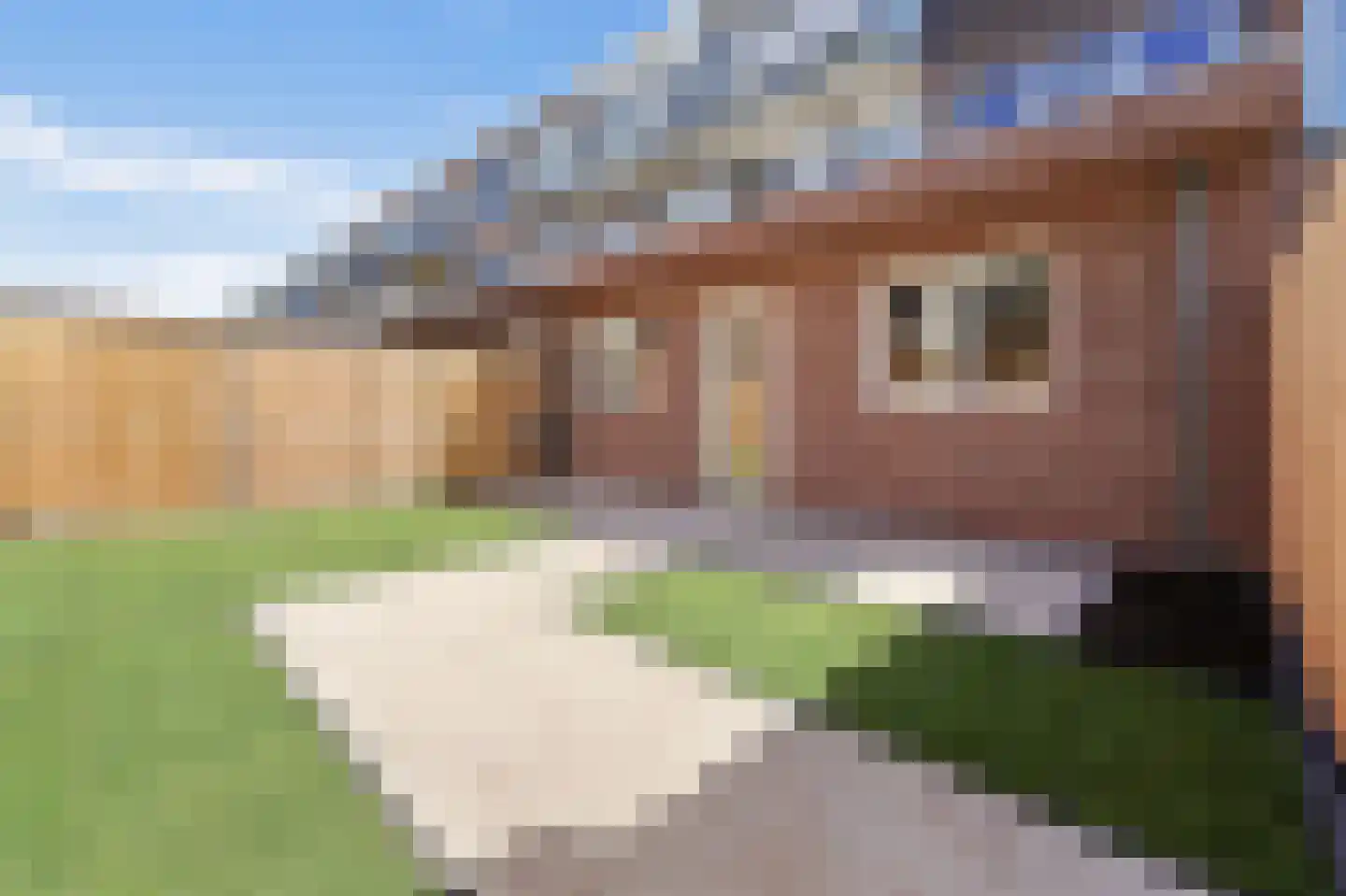 Indigostraat 77 Den Haag thumbnail 25