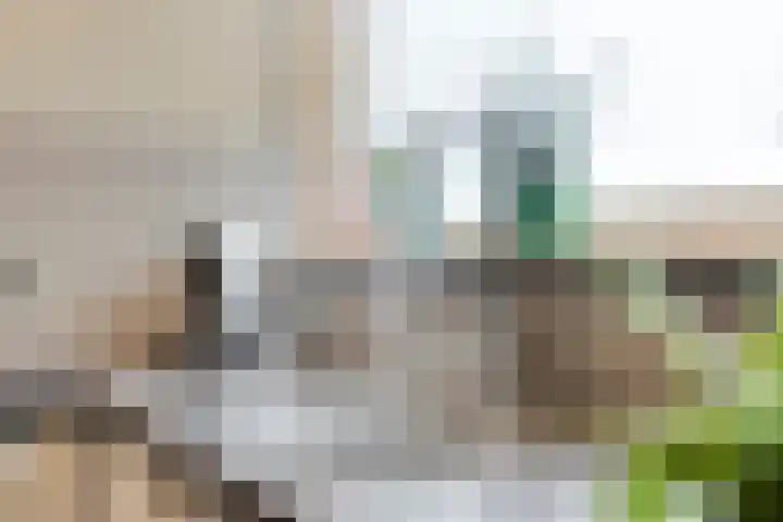 Indigoweg 3 Rosmalen thumbnail 20