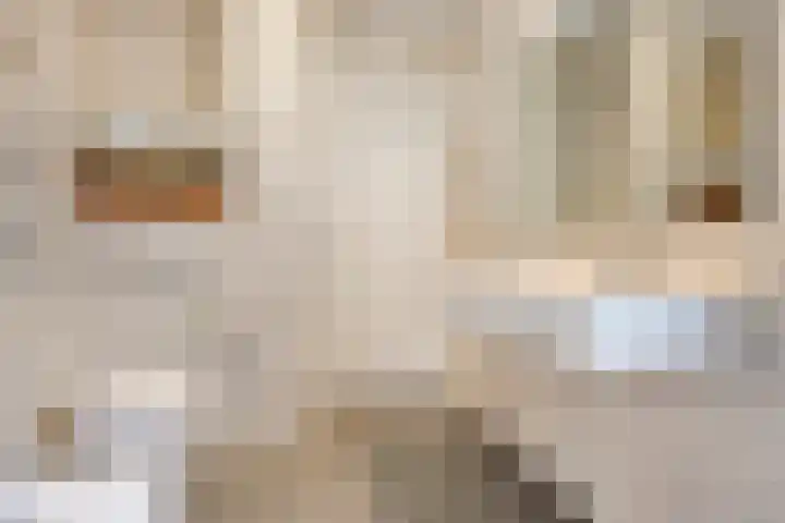 Indigoweg 3 Rosmalen thumbnail 30