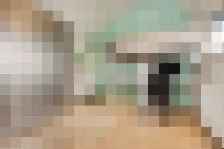 Indigoweg 3 Rosmalen thumbnail 33