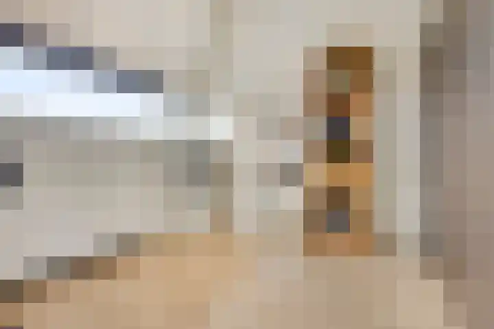 Indigoweg 3 Rosmalen thumbnail 34