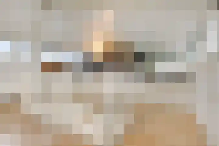 Indigoweg 3 Rosmalen thumbnail 35