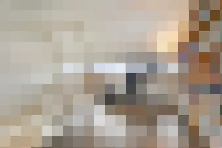 Indigoweg 3 Rosmalen thumbnail 36