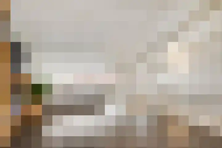 Indigoweg 3 Rosmalen thumbnail 37