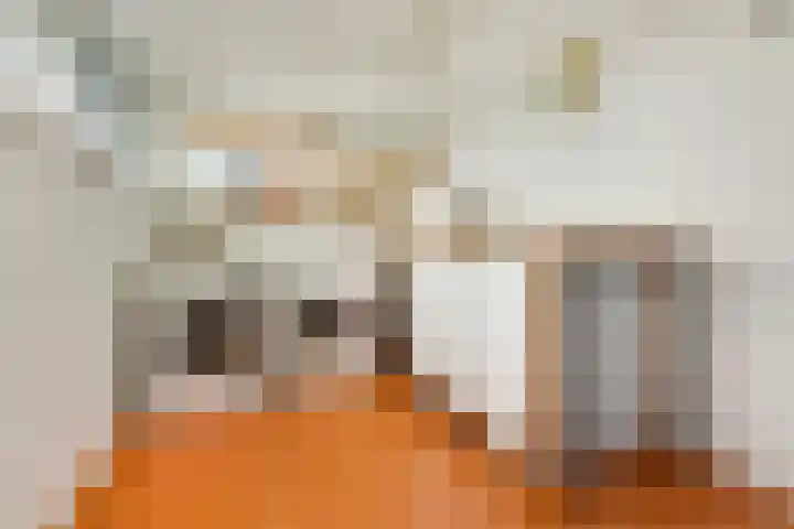 Indigoweg 3 Rosmalen thumbnail 38