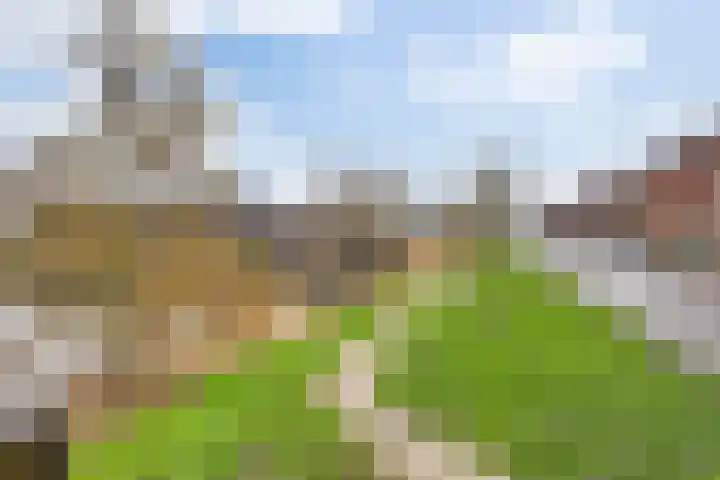 Indigoweg 3 Rosmalen thumbnail 47