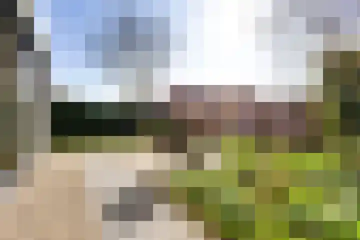 Indigoweg 3 Rosmalen thumbnail 63