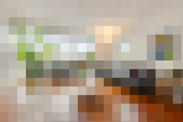 Indigoweg 3 Rosmalen thumbnail 70