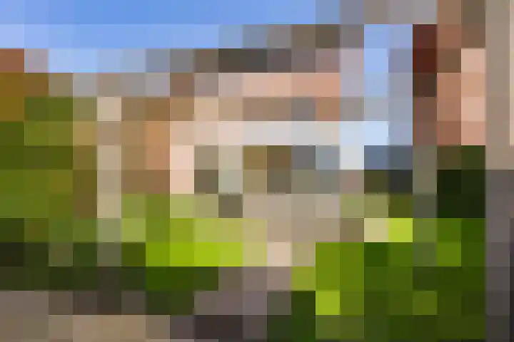 Indigoweg 3 Rosmalen thumbnail 71