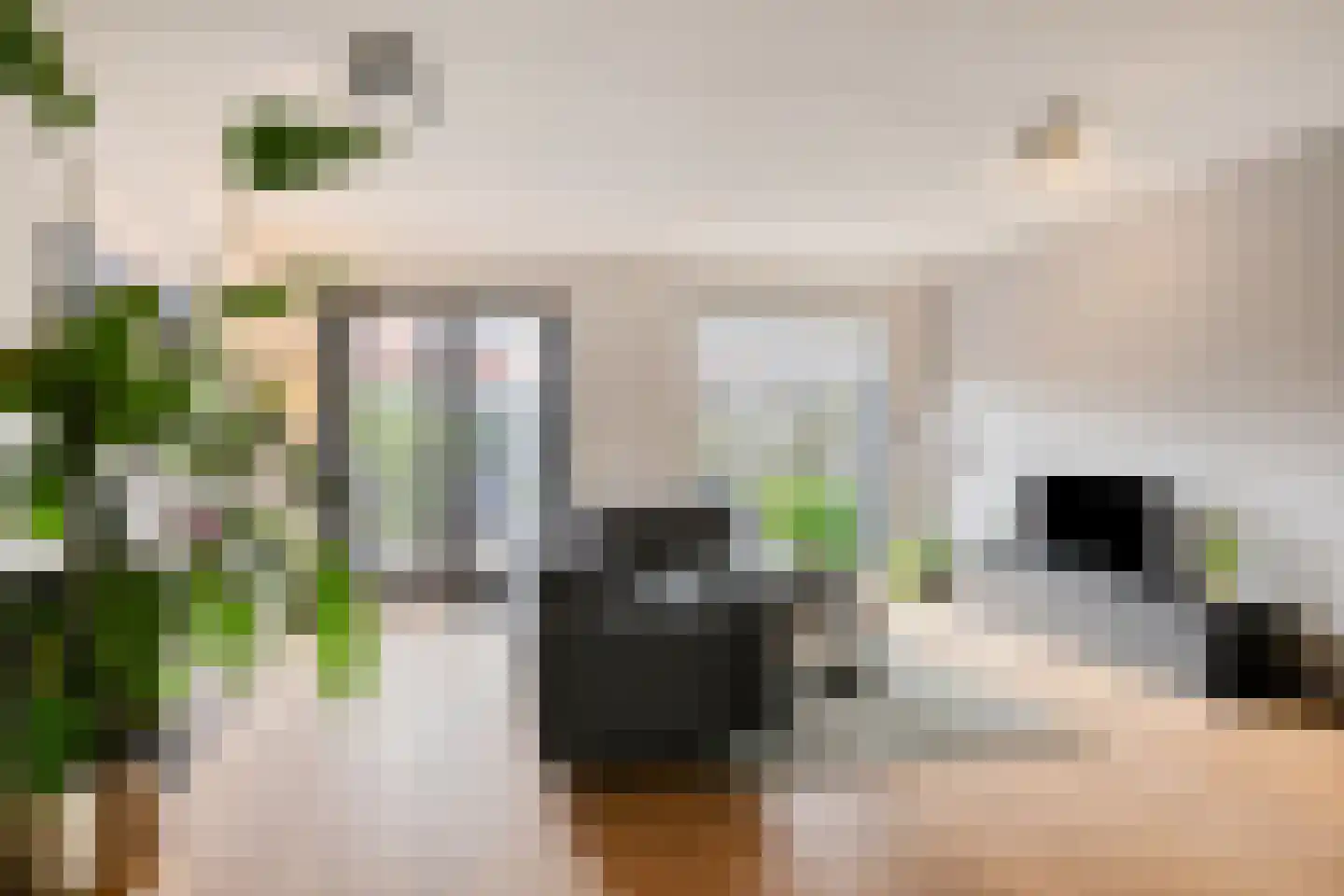 Indigoweg 43 Rosmalen thumbnail 4