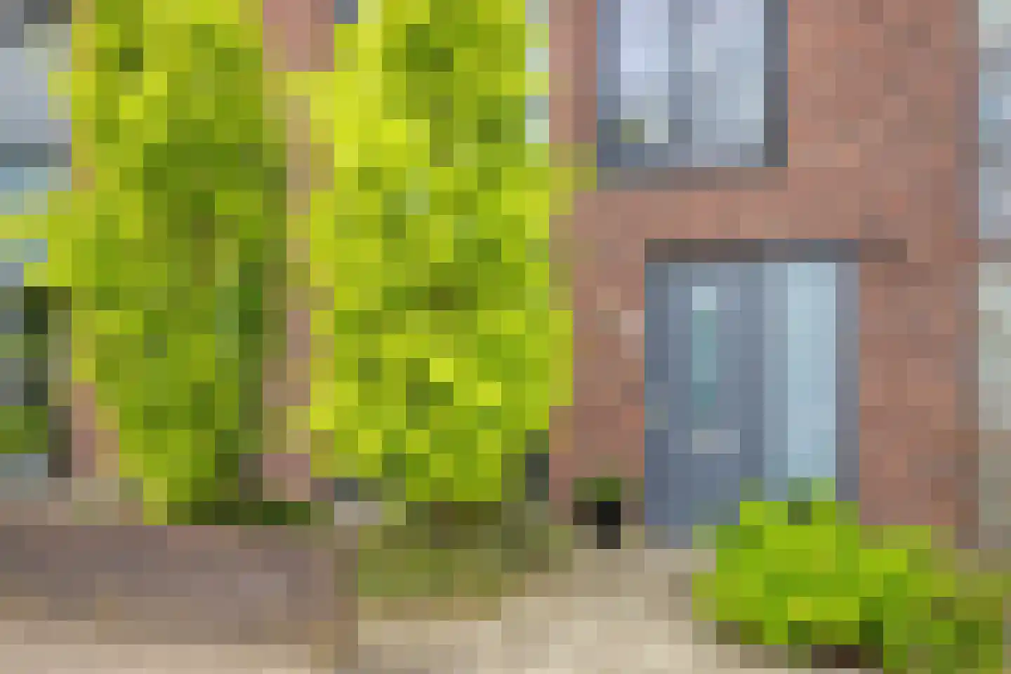 Indigoweg 43 Rosmalen thumbnail 46