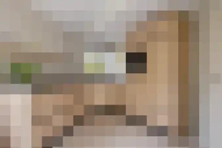 Indira Gandhilaan 31 Goes thumbnail 14