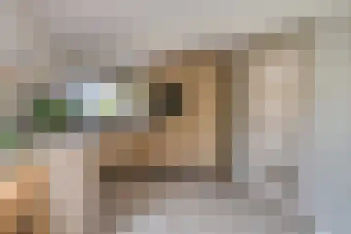 Indira Gandhilaan 31 Goes thumbnail 15