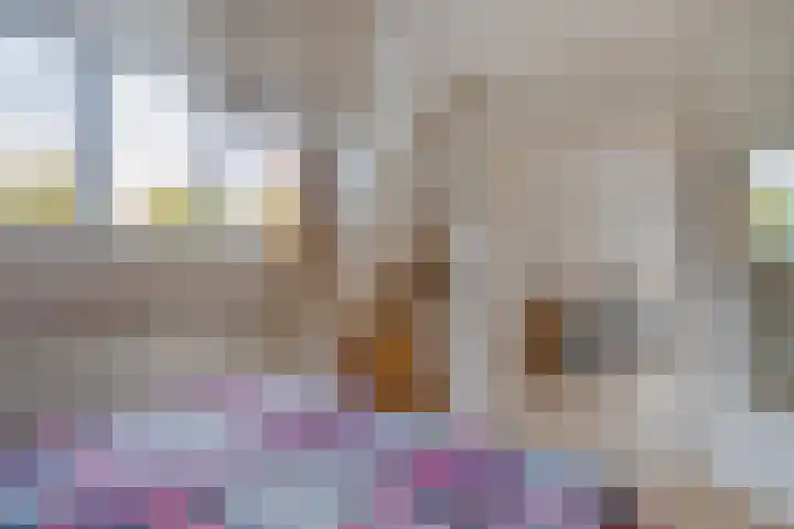Indira Gandhilaan 31 Goes thumbnail 20